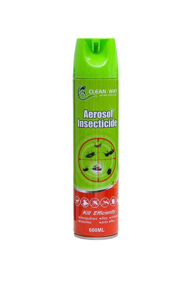 insecticide aerosol